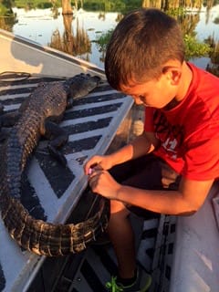 Lil' Derek and his first free swimming alligator