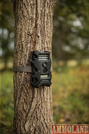 Wildgame Innovations - Terra 5 IR Scouting Camera