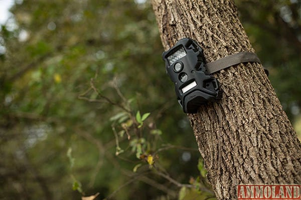 Wildgame Innovations - Terra 5 IR Scouting Camera