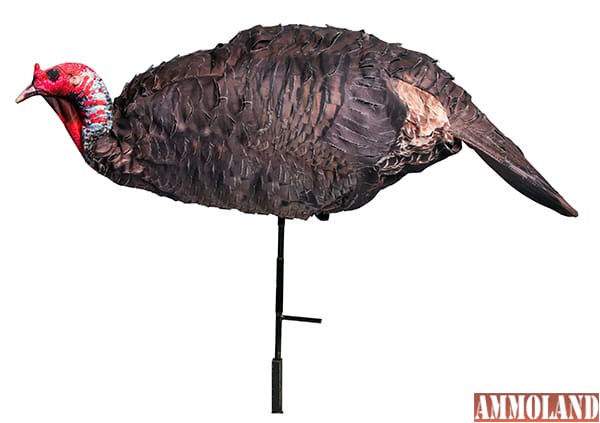 JAKE PURR-FECT ~ Turkey Decoy