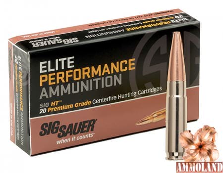 Sig Sauer: SIG HT 300BLK Supersonic Ammunition for Hunting