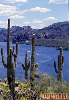 Saguaro Lake Photo by George Andrejko, Arizona Game and Fish Department.