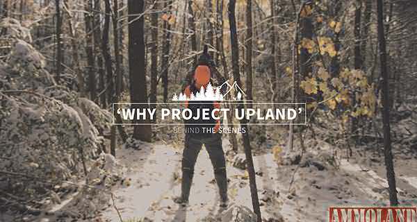 Behind the Scenes - Why Project Upland