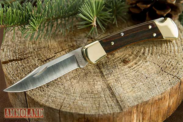 Buck 110 Folding Knife : Old School Hunting