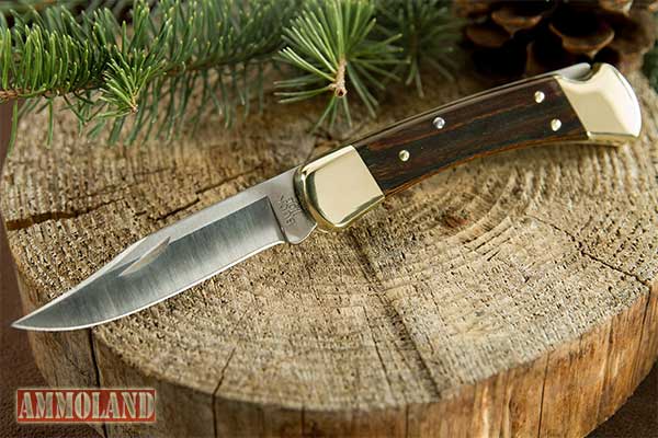 Old School Hunting Buck 110 Folding Knife : Old School Hunting