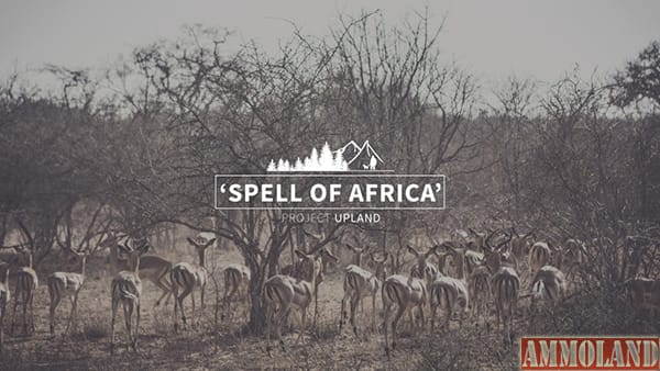 Project Upland - Spell of Africa