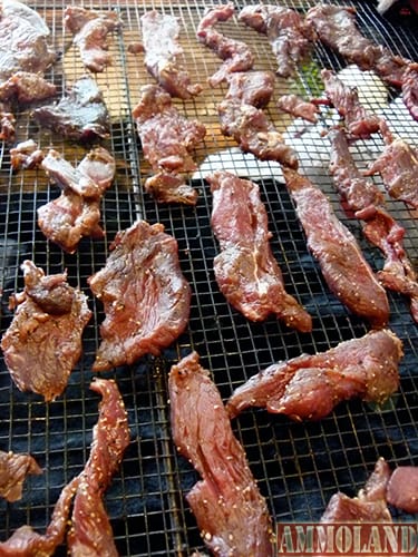 Well trimmed and sliced elk strips are ready to head to the smoker with cherry, hickory or mesquite wood. Make sure you leave a ½ inch or more gap/space between the meat strips to allow for best air circulation and drying.