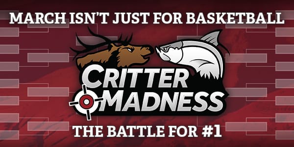 Critter Madness