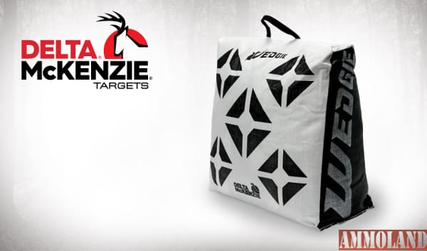 Delta Mckenzie Wedgie Freestanding Target : http://tiny.cc/a3faay