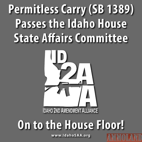 Permitless Carry (SB 1389) Passes the Idaho House State Affairs Committee