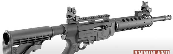 Ruger SR-22 Rifle begging for Ruger 10-22 Accessories