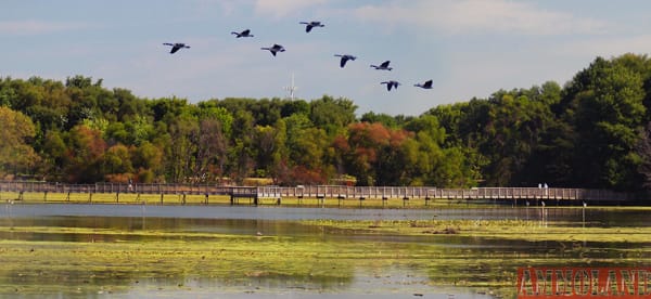 John Heinz National Wildlife Refuge