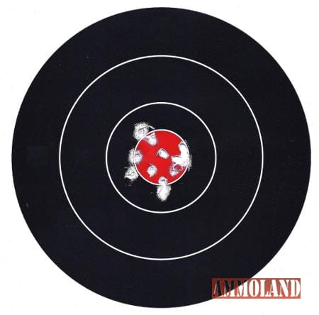 16 Rounds at 20 yards with the SIG SAUER P226 ASP Air Pistol