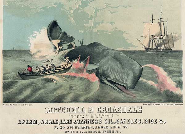 Sperm Whale Oil