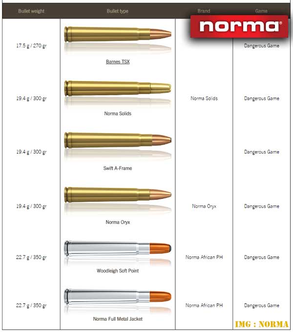 .375 Holland & Holland Magnum Round Types