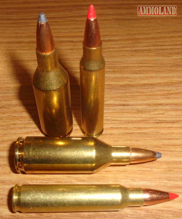 243 WSSM (left) vs the 243 Winchester