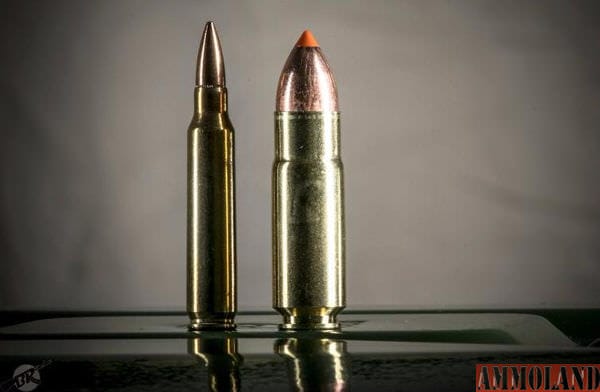 Comparison of 5.56 and .458 SOCOM Rounds