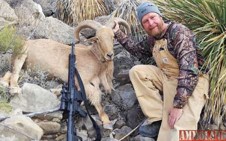 NM Public Lands Barbary Sheep Do It Yourself Style