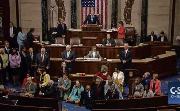 Democrats staging a petulant "sit-in" in the well of the House. (Photo C-Span screenshot)