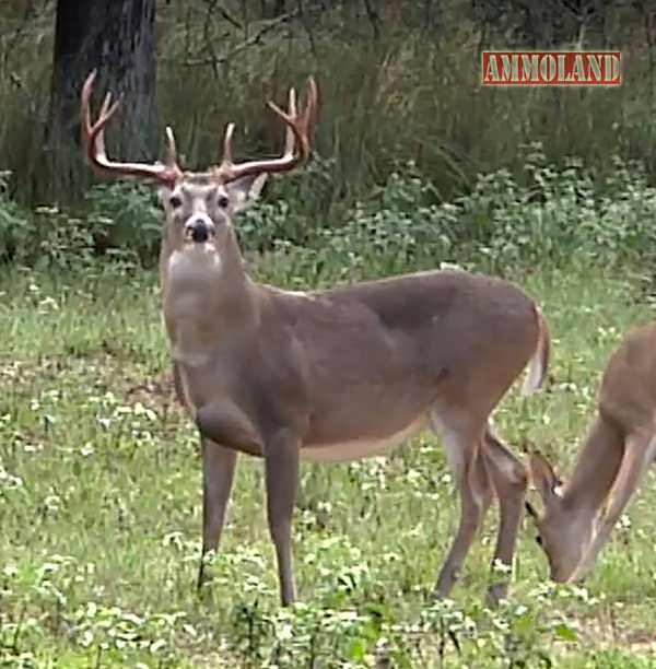 Texas Hidden Springs Ranch Couples Hunt