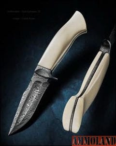 Ivory Grip Knife (Kyle Gahagan 2015)