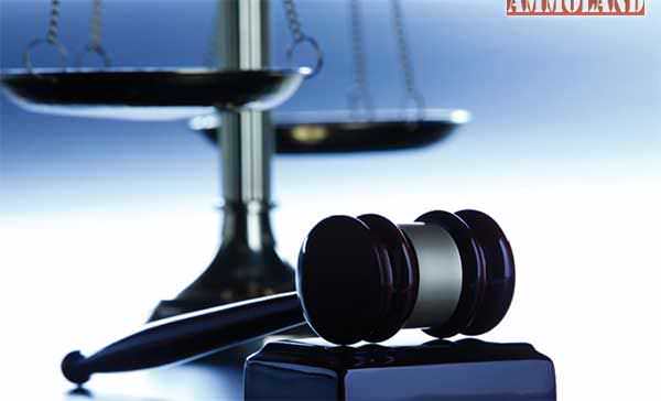 CT Judge Grants Immunity to Bushmaster, Case Sought to Gut PLCAA Justice Lawyer Judge Gavel