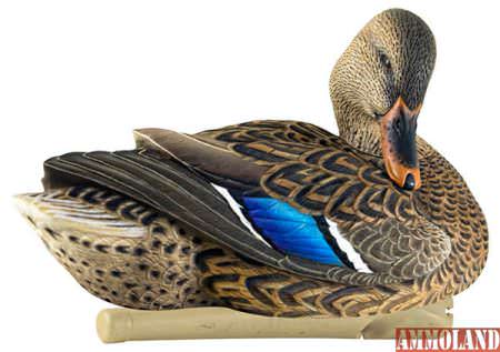 Avian-X Topflight Sleeper/Preener Mallard Decoy