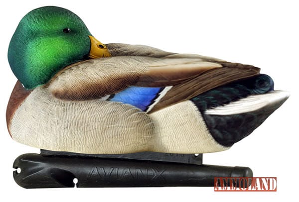 Avian-X Topflight Sleeper/Preener Mallard Decoy