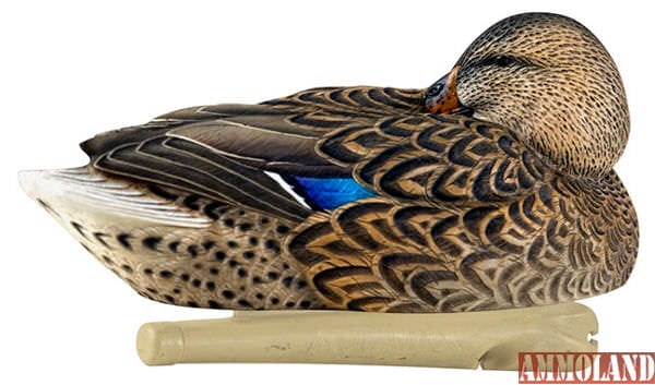 Avian-X Topflight Sleeper/Preener Mallard Decoy