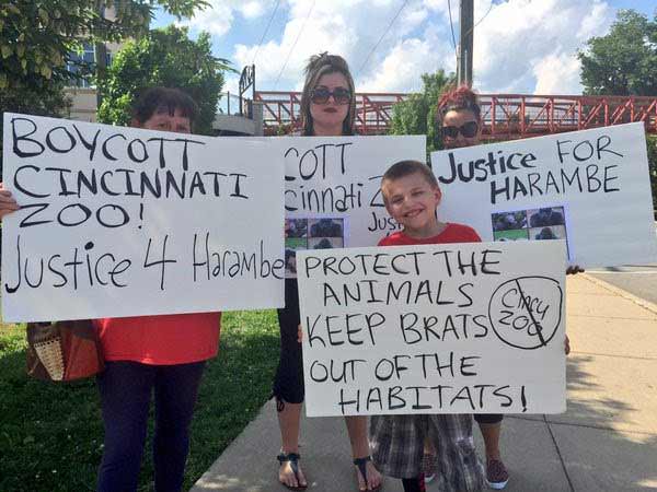 Protesting the gorilla shot at the Cincinnati Zoo