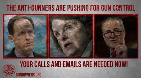 The Anti-Gunners Are Pushing for Gun Control