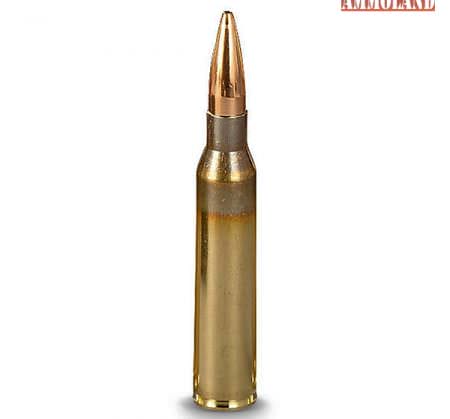 Four Reasons Why the 6.5 Creedmoor Sucks