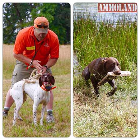 Hunting dog training workshop July 23-24 near Scio