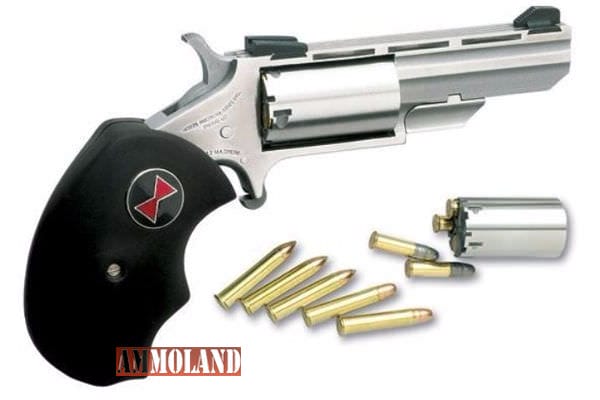 NAA Black Widow Revolver in .22WMR a Mini Revolver