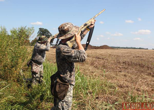 Dove Hunting