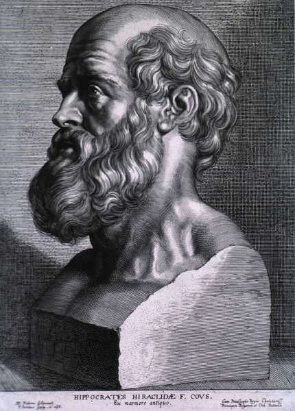 Hippocrates_rubens