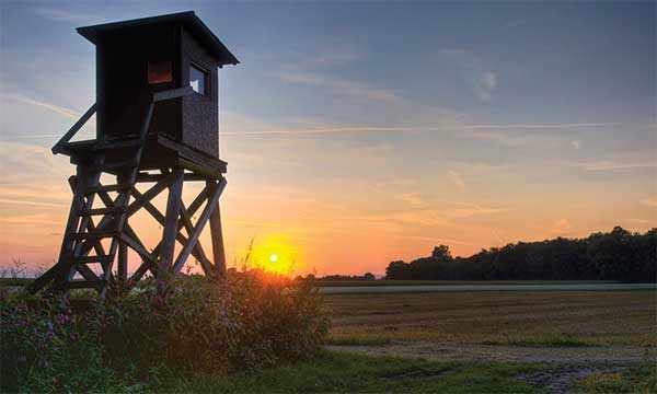 Morning Deer Stand Sunrise