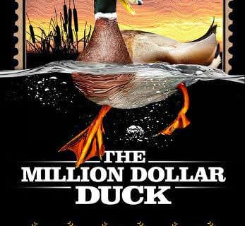 The Million Dollar Duck