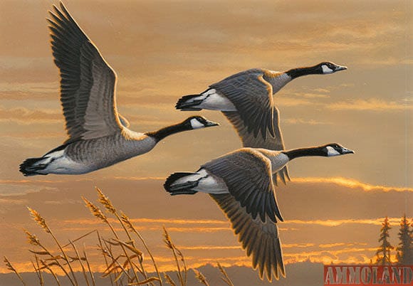 Canada geese by Minnesota artist James Hautman. Credit: USFWS