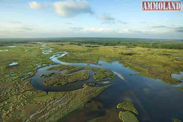 Major water projects legislation authorizes Everglades restoration, using wetlands as infrastructure, and improving habitat connectivity