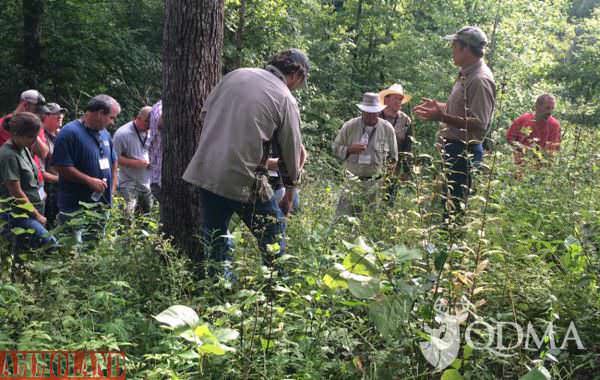 Dr. Craig Harper teaches QDMA Habitat Module attendees how to evaluate and manage deer forage quality and abundance in a forest.