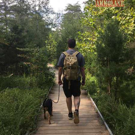 Field testing the Velox II Tactical Assault Pack, I hiked around five miles. As a day pack the Velox was an ideal choice for fitting enough supplies for two people and a puppy.