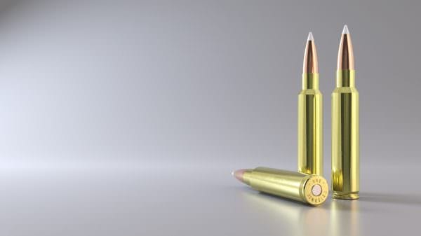 Nosler 33 ammunition 