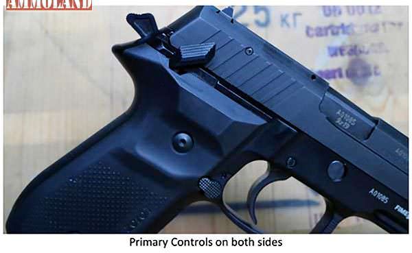 Arex REX Zero 1 Pistol Primary Controls