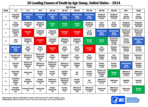 10 leading causes of deaths by age group in 2014