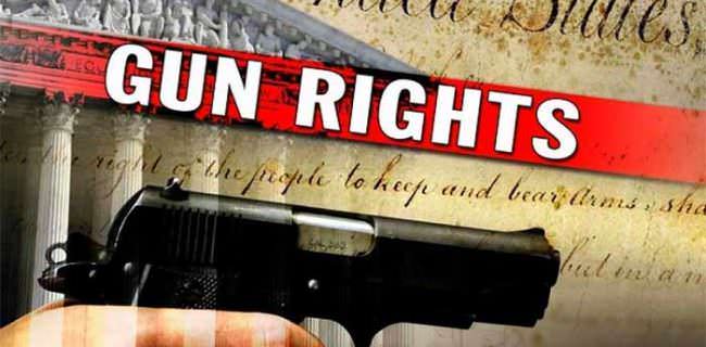Gun Rights Court