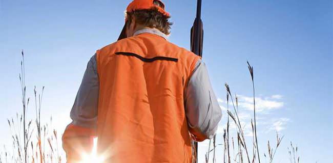 Hunter Orange Bird Pheasant Hunting