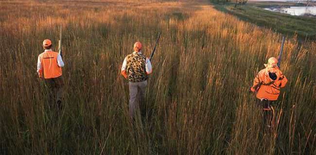 Hunters Hunting Orange Shotguns