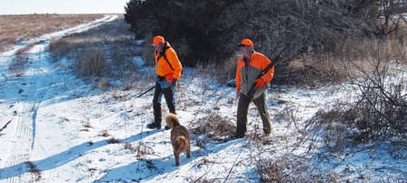 Kansas Pheasants Season