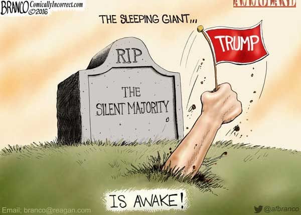 Image result for conservative silent majority cartoon